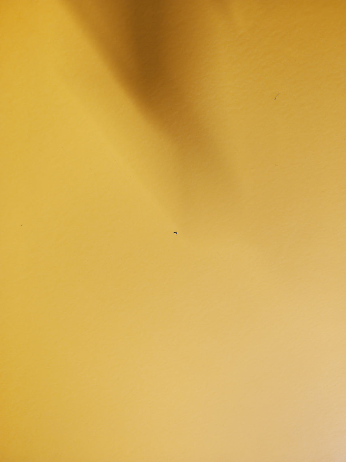 Springfield Yellow Rubber, 11.9 sq m (sale 175)