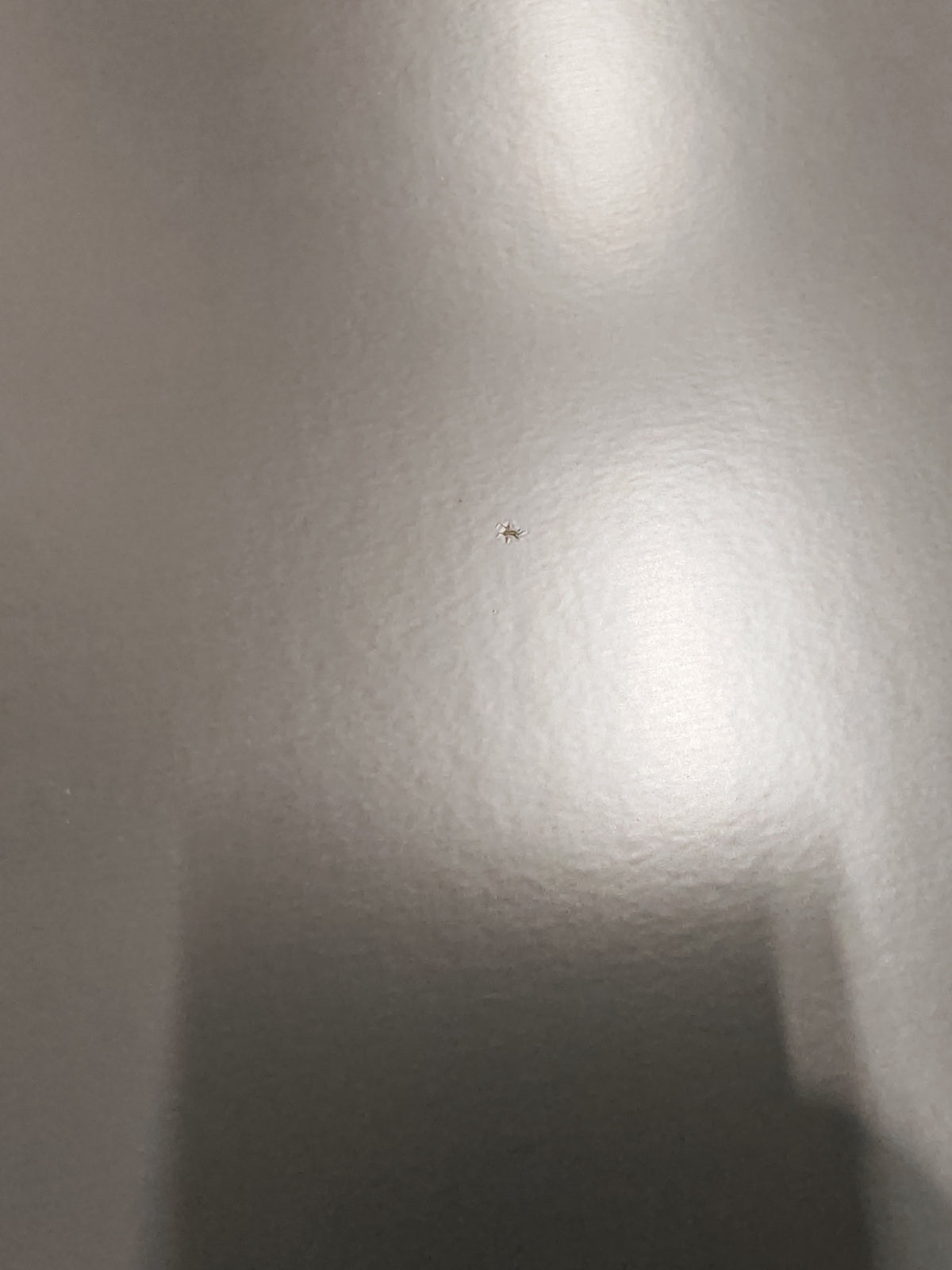 Rachel Point grey rubber, 2.7 sq m (roll 92)