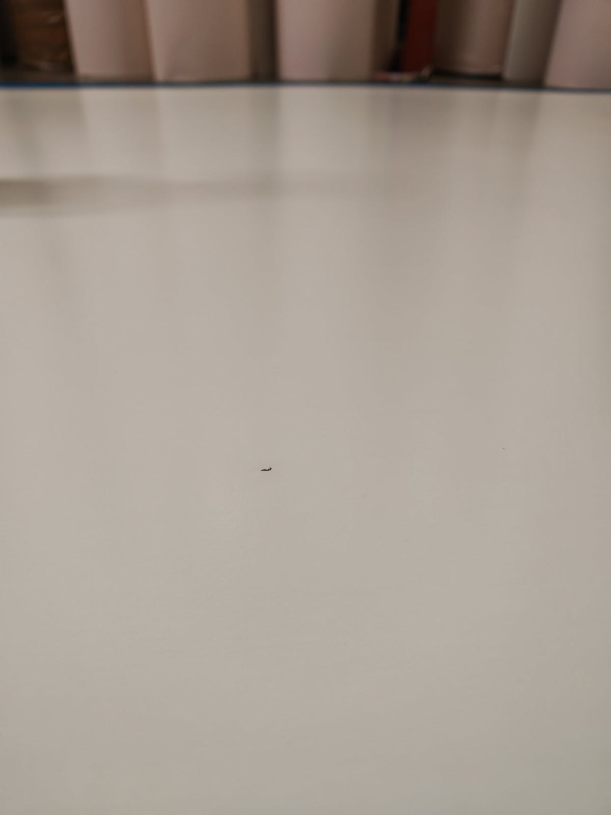 Comporta rubber, 4.5 sq m (roll 108)