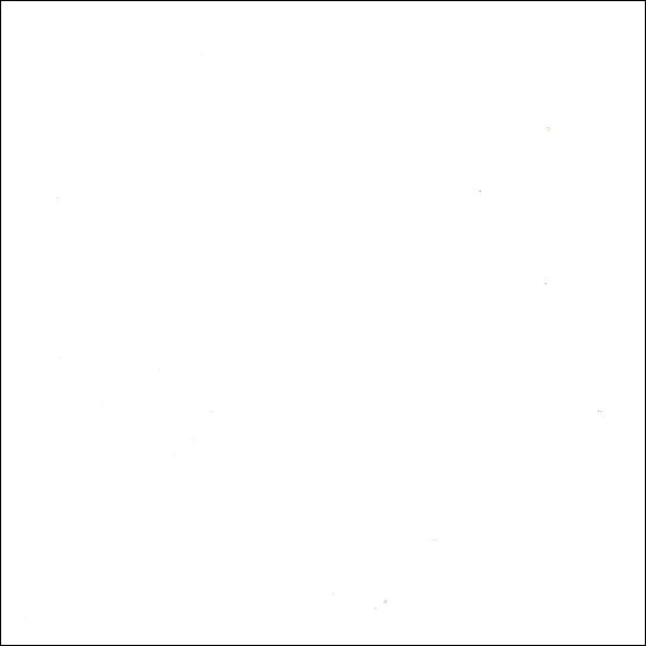 Vinyl Flooring Roll White Matt Extra thick For Bathrooms, Kitchens